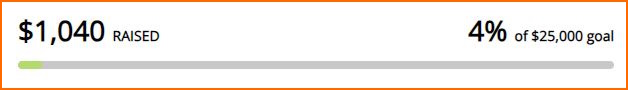 How to Log A-Thon Activity Progress 1.jpg