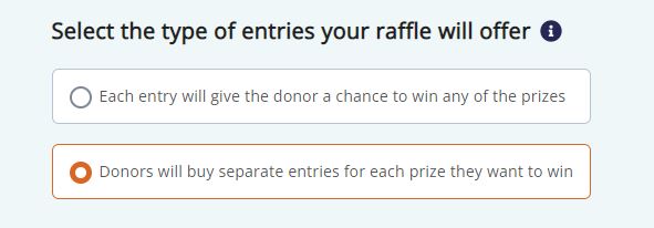 Allow Donors to Purchase Raffle Entries for Specific Prizes 1.jpg