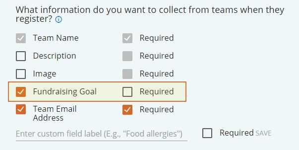 How to edit your participant or team fundraising goal 3.jpg