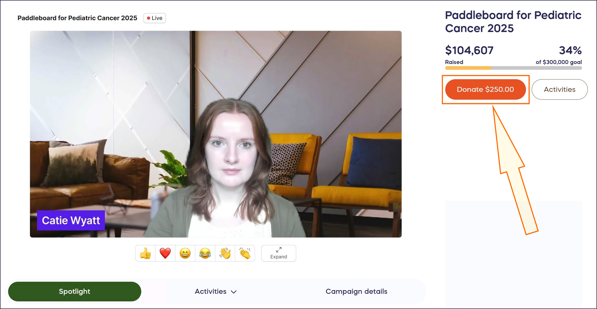 How to Run a Fund-a-Need During Your Livestream Using the Customizable Donation Button 1.jpg