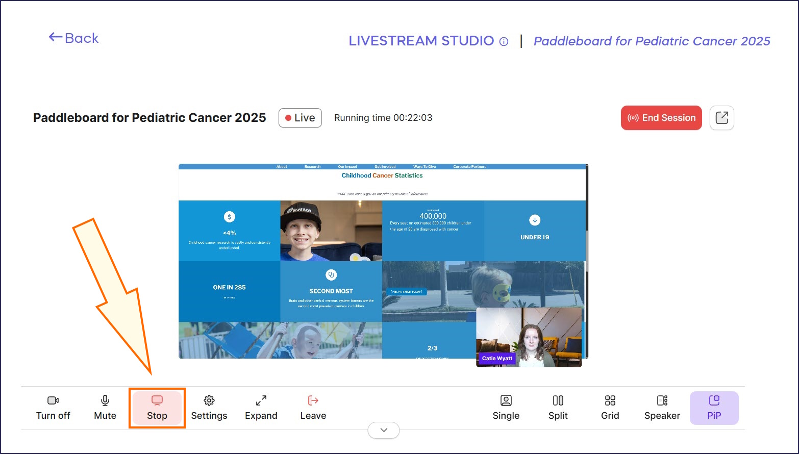 How to Screen Share During a Livestream 3.jpg